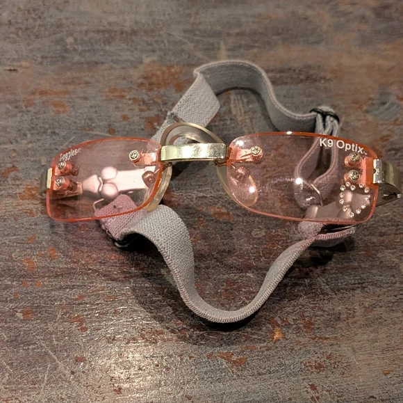 K9 Optix (girl dog) - Picture 3 of 8